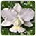 special offer for Royalgardenvillas.com, Royalgardenvillas.com offer,Royalgardenvillas.com discount,Royalgardenvillas.com voucher,voucher Royalgardenvillas.com, coupon Royalgardenvillas.com