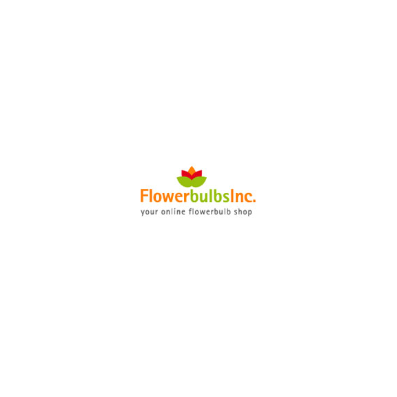 special offer for FlowerBulbsInc.co.uk, FlowerBulbsInc.co.uk offer,FlowerBulbsInc.co.uk discount,FlowerBulbsInc.co.uk voucher,voucher FlowerBulbsInc.co.uk, coupon FlowerBulbsInc.co.uk